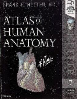 Atlas of Human Anatomy Netter Basic Science 7th Edition